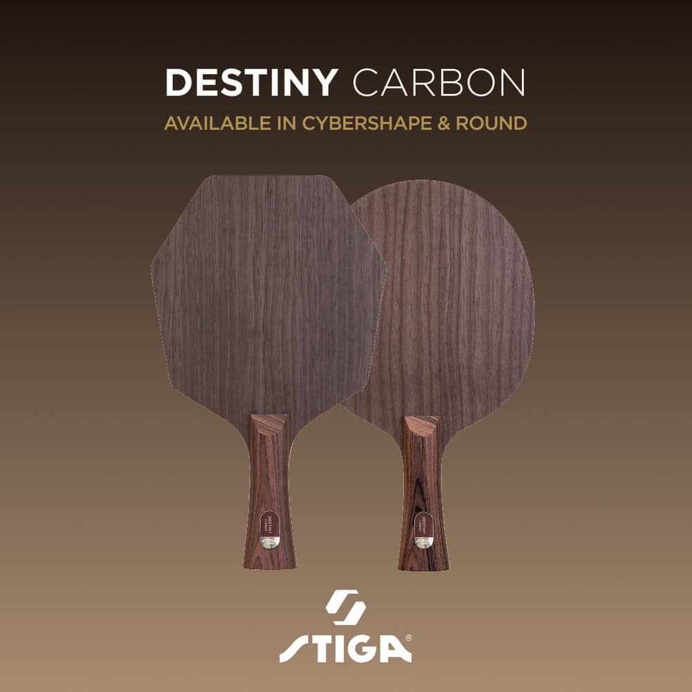 Destiny Carbon доступно в 2-х моделях Destiny Carbon доступно в 2 моделях